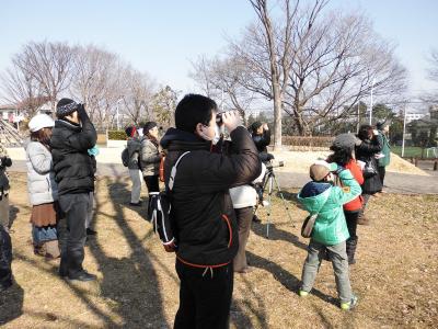 写真：観察会の様子