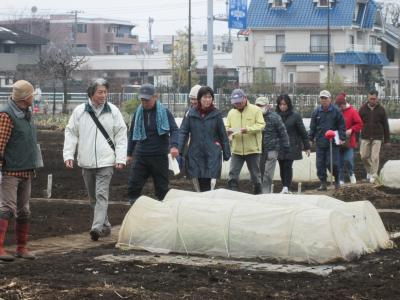 整列して、畑の中を避難する参加者の方々