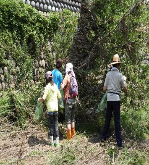 石神井川での清掃風景