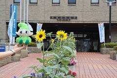 田無庁舎の外観画像
