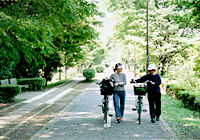 写真：多摩湖自転車歩行者道