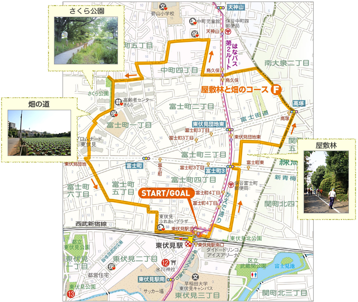 F 屋敷林と畑のコース　地図