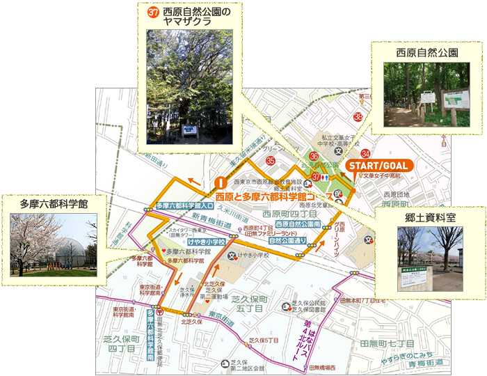 I 西原と多摩六都科学館コース　地図