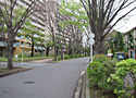 E ひばりが丘・いこいの森コース 写真