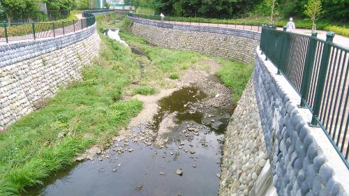 画像：下野谷遺跡公園近くの石神井川