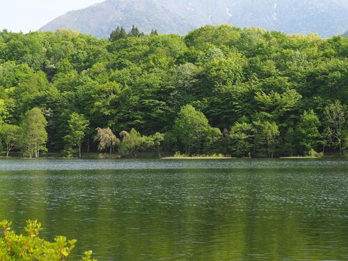 5月中旬　 観音沼森林公園の様子