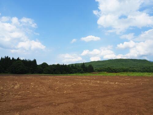7月下旬種まき前のそば畑