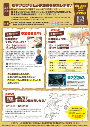 チラシ裏