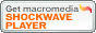 Shockwave Playerのダウンロード