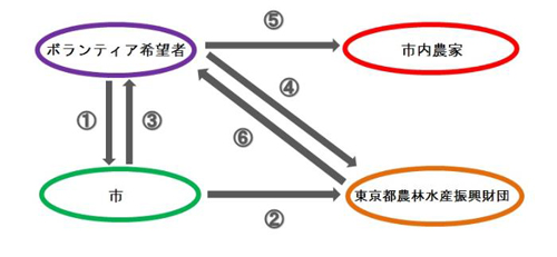 援農ボランティア　認定までの流れ1