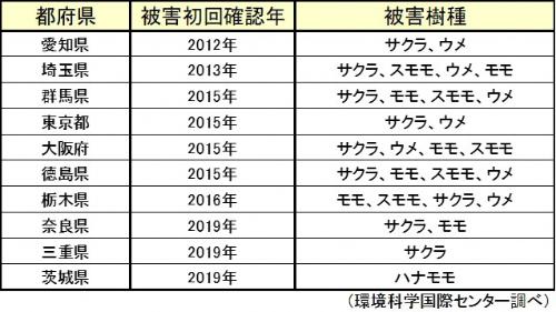 被害確認