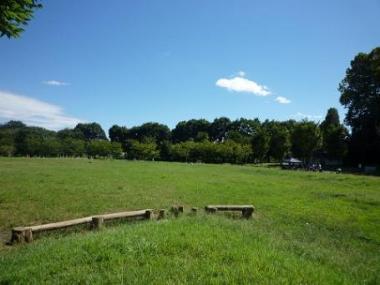 西東京いこいの森公園