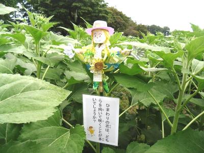 写真：ひまわり迷路内にはミニひまちゃん人形とひまわりに関するクイズが設置