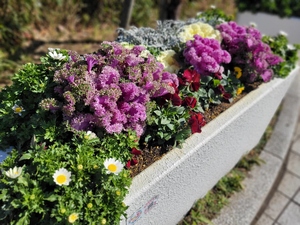 花壇