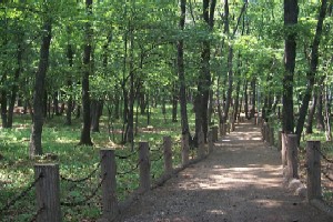 写真：西原自然公園